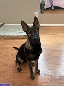 Cyber Softy exklusive OnlyFans geleakte Nacktbilder