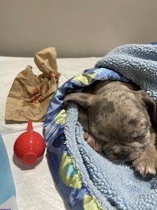 jmulaxxx exclusif onlyfans nudes divulgués