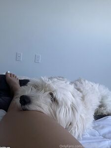 ilcollegestripper nuove foto hot onlyfans trapelate