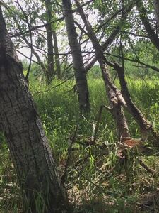 abigale mandler onlyfans leaks nude