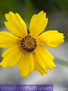 your_submissive_doll Onlyfans Утечки Нагого Альбома - Последние утечки