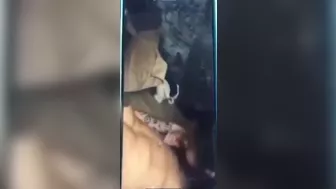 Miss Thailand World 2016 SexTape Sex Scandal
