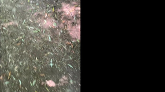 Redheadwinter Throating Thick Dick In The Jungle And Swallow Cum Onlyfans Video