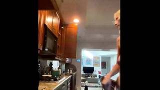 Smashedely Exposing Big Tits in the Kitchen Live Stream Video