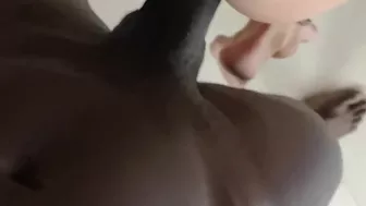 BBC Anal Submission