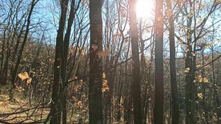 Couple having porn outside in the woods