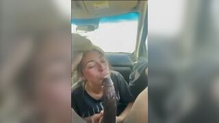 Sexy Brunette Slut Suck Big Black Cock Very Hard In The Car