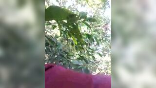 aunt sucked behind open bushes
 Indian Video